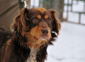 �����, ����������� ����� ����, ���� ���