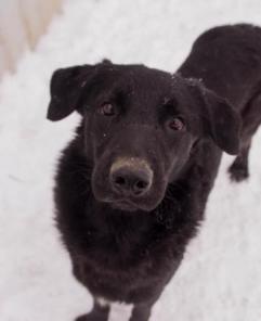 �������, ����� ���������, ������ ��� � ���