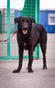 �������, ����� ���������, ������ ��� � ���