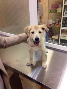 ���� ��� ��� �����