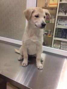 ���� ��� ��� �����