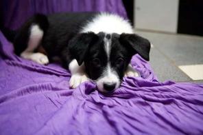 10 ������ ����� ����� ����� ����� � ����� ���