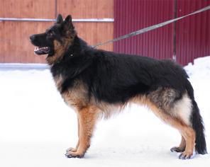 �������� �����-������� - � ������������� ����.