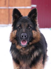 �������� �����-������� - � ������������� ����.