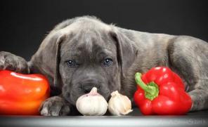 ���� ����� ������� ����� �� ���������