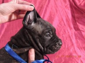 ����� ���� �����