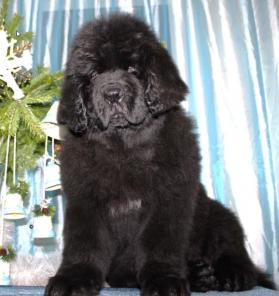 ����� �������������