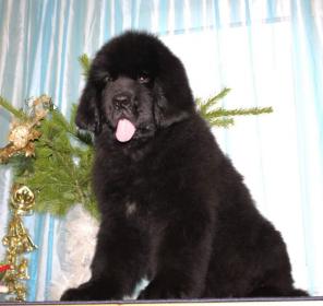 ����� �������������