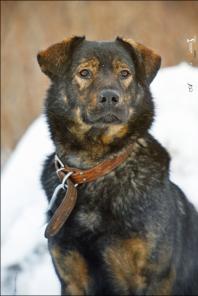 ���������� ��� ��������� � ����