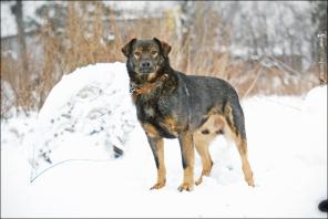 ���������� ��� ��������� � ����