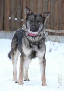 ���� ���� �������!