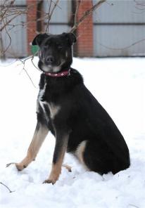 ����������� ������ ���� � ���!