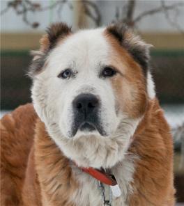 ����, ��������� ������� ������ � ���