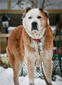 ����, ��������� ������� ������ � ���