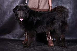 ������� ������ ����������� ������� ������ � �-��