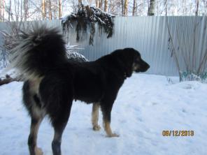 ������� ������ ����������� ������� ������ � �-��