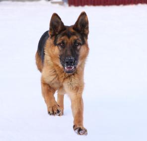 ����� � �������� ���� ���������� ��������� ������ �������