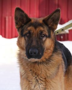 ����� � �������� ���� ���������� ��������� ������ �������