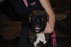 ����� ��������� �������