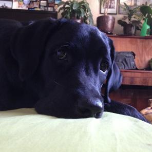 �������� �������� �������, 1 ���, � ���