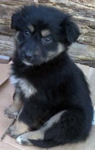 ����� ������ � ��� ���.