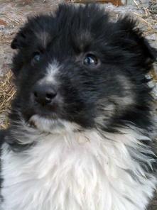 ����� ������ � ��� ���.