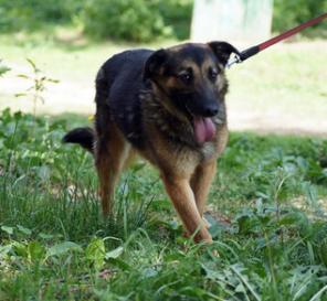 ������� ������� �� ������ � ���.