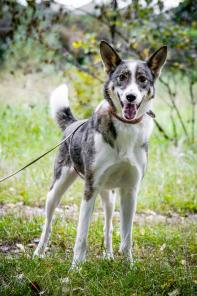 ������� � �������������� �������� ��� �� ������ � ���