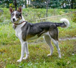 ������� � �������������� �������� ��� �� ������ � ���