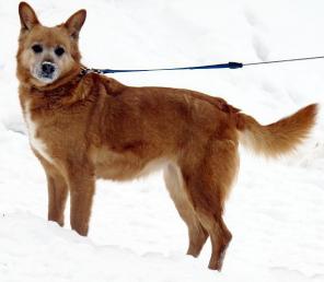 ��������� ����� ����� �������� �� ������ � ���