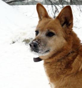 ��������� ����� ����� �������� �� ������ � ���