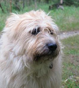 ������ �� ������ ��� ������ �������.