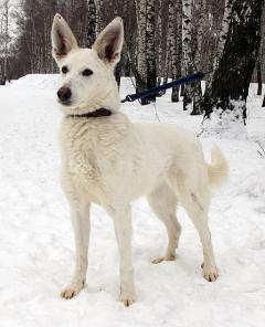 ����������, �������� � ������� �� ������ � ���