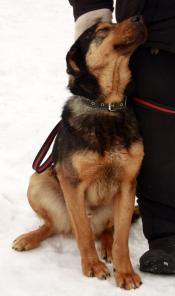 ������� ��������� ���� � �������� �� ������ � ���