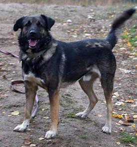 ������� ������ ��� ���� � �������� �� ������ ������ � ���