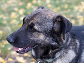 ������� ������ ��� ���� � �������� �� ������ ������ � ���