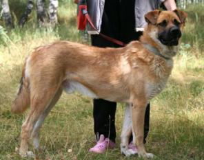 ������� ������� ��� � ���������� ������ ������� �� ������ ������ � ���