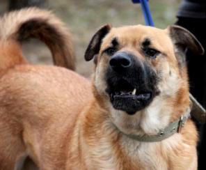 ������� ������� ��� � ���������� ������ ������� �� ������ ������ � ���