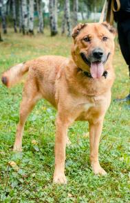 ������� ��� ���� � �������� �� ������ � ���