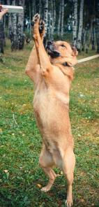 ������� ��� ���� � �������� �� ������ � ���