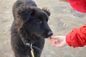 ����� �������� � ����������� �����