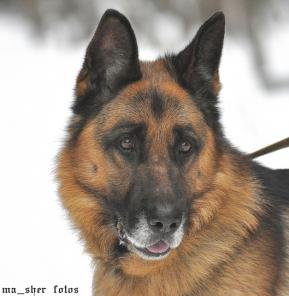 ����. ��������, ������������� ����� � ���