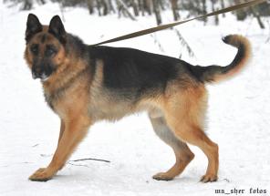 ����. ��������, ������������� ����� � ���