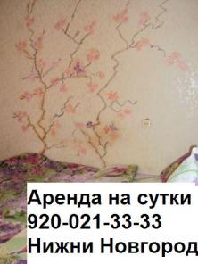 Сдам на сессию 1комнатную квартиру от хозяйки.Нижний новгород
