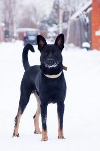 ���, �������, �������� ���, � ���!