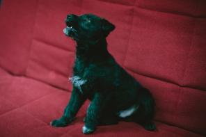 ����������� ����� � ����� ������ ����