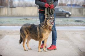 ������. ������� ������ ����� ����� ������! (���)