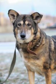 ������. ������� ������ ����� ����� ������! (���)