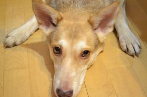 �����- ��������� ������ ���� ���!