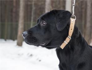 ����� ���������, ������� ���� 8 ������� ���� ����� �����